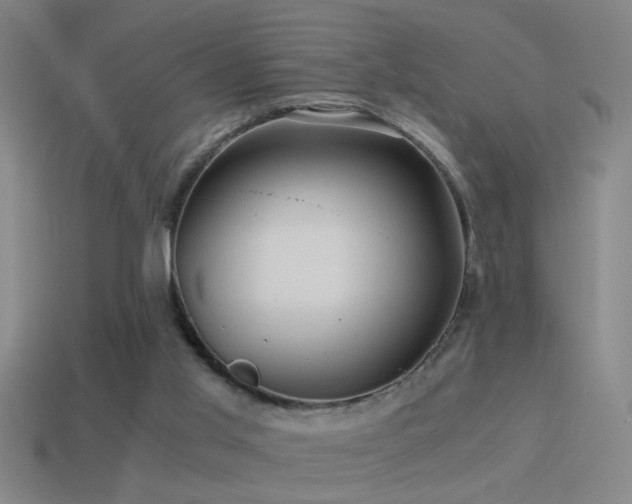 X0000114390013200910161304