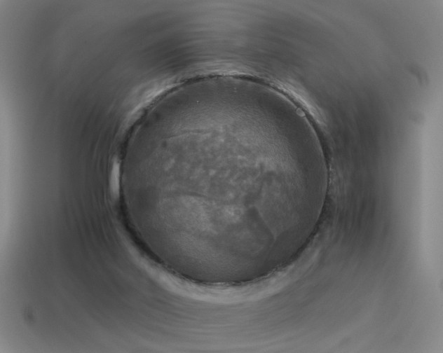X0000114390014200910161304