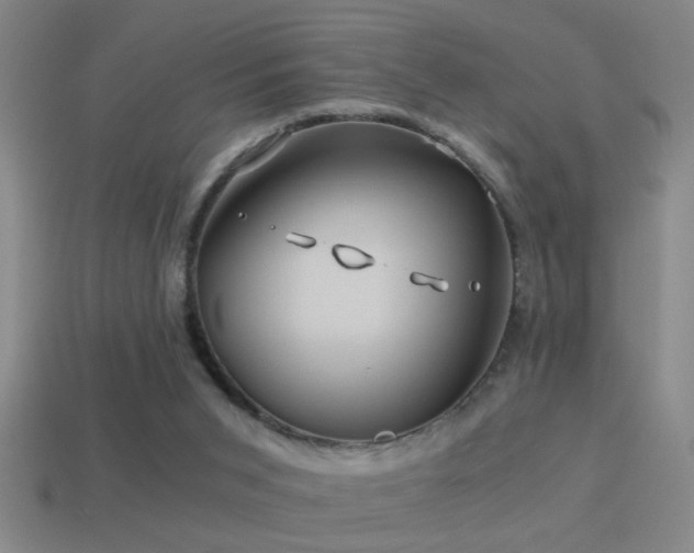 X0000114390015200910161304