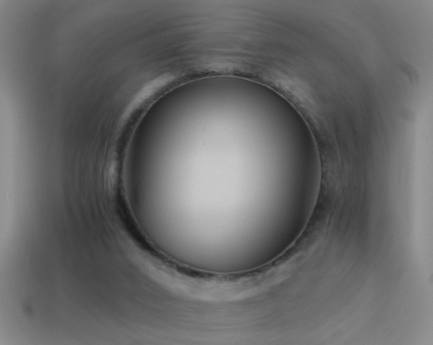 X0000114390016200910161304