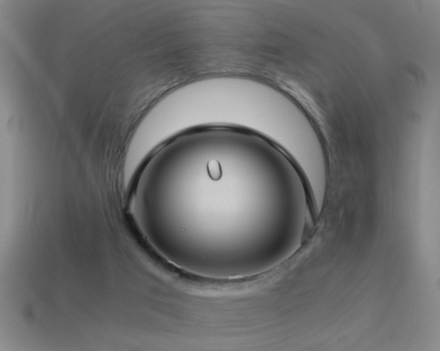 X0000114390017200910161304