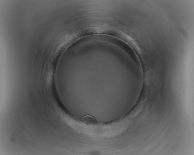 X0000114390018200910161304