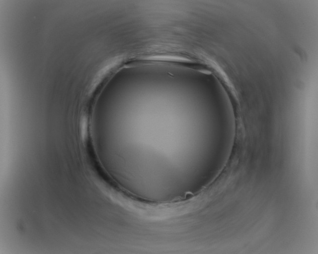 X0000114390019200910161304