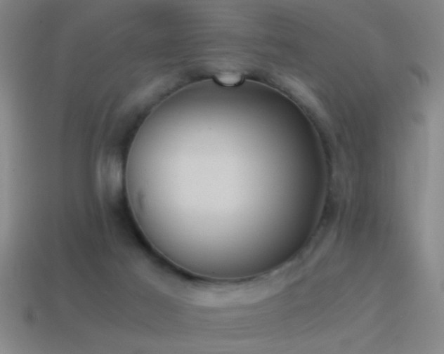 X0000114390021200910161303