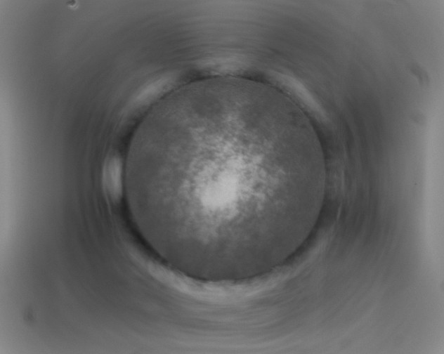 X0000114390022200910161303