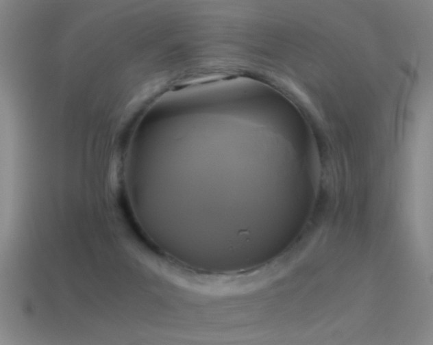 X0000114390023200910161303