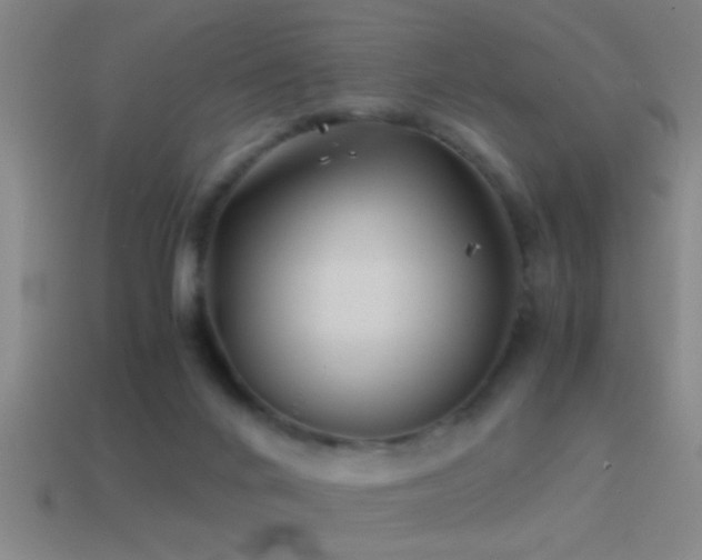 X0000114390024200910161303
