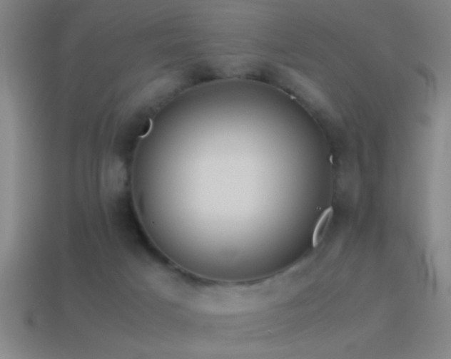 X0000114390025200910161303