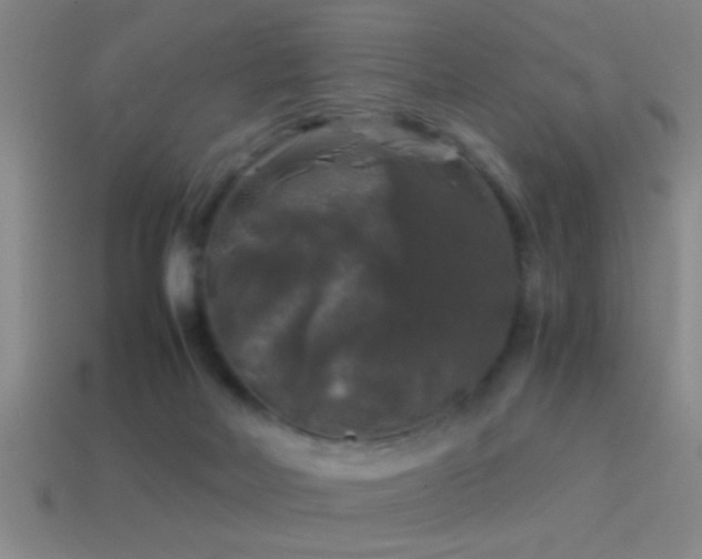 X0000114390026200910161303