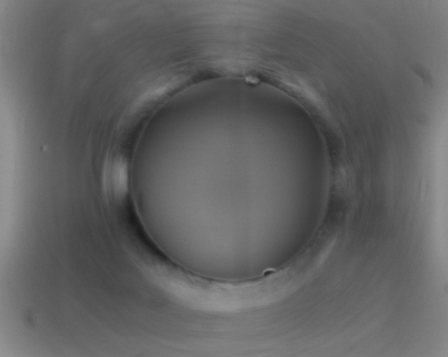 X0000114390027200910161303