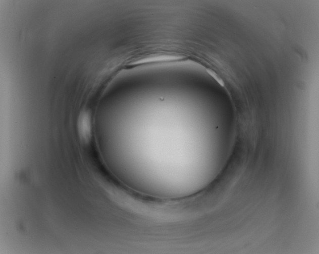 X0000114390028200910161303