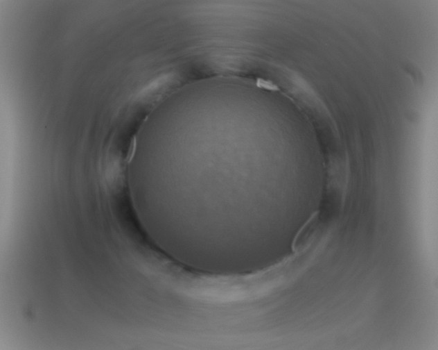 X0000114390029200910161303
