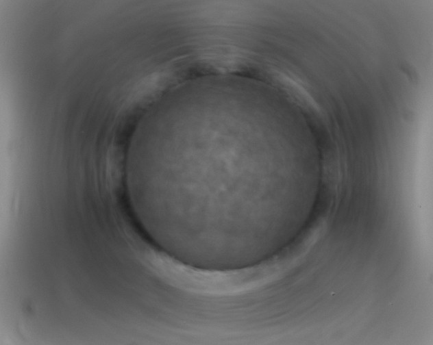 X0000114390030200910161303