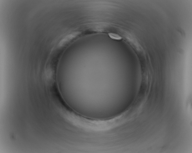 X0000114390031200910161303