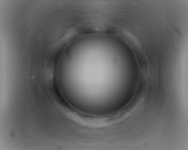 X0000114390032200910161303