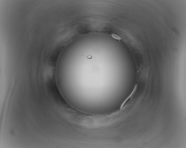 X0000114390033200910161303