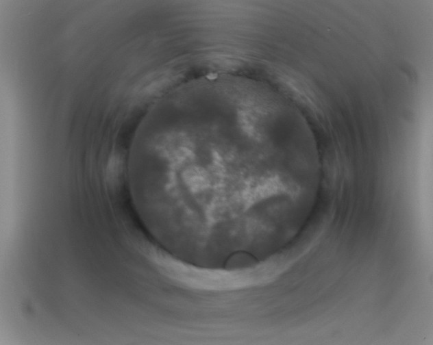 X0000114390034200910161303