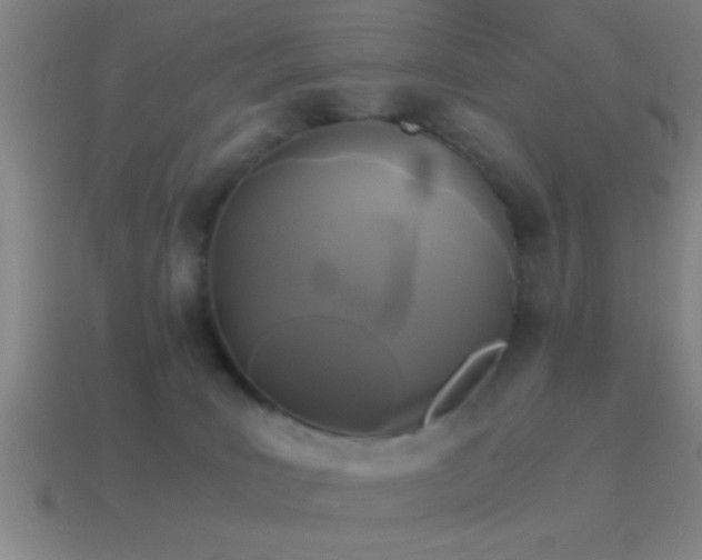 X0000114390035200910161303