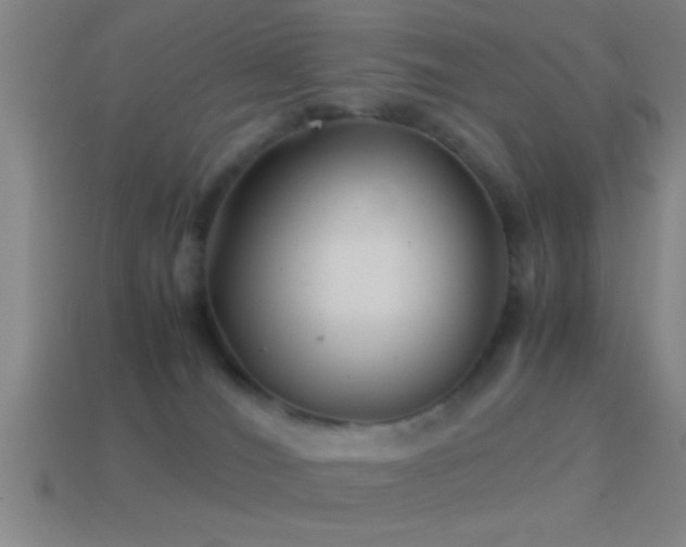 X0000114390036200910161303