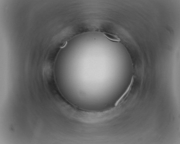 X0000114390037200910161303