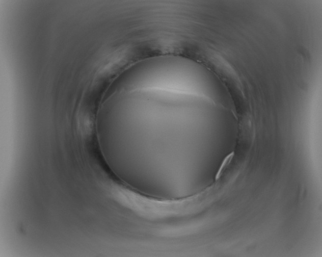 X0000114390039200910161303