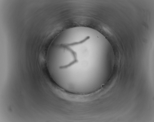 X0000114390040200910161303
