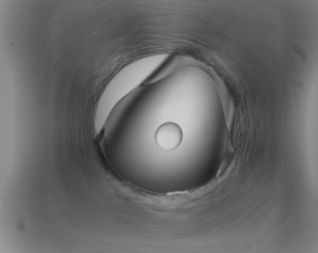 X0000114390041200910161303
