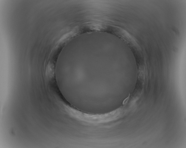 X0000114390043200910161303
