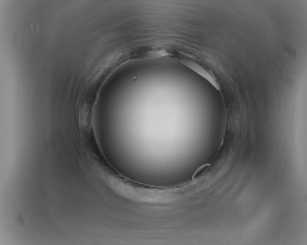 X0000114390044200910161303