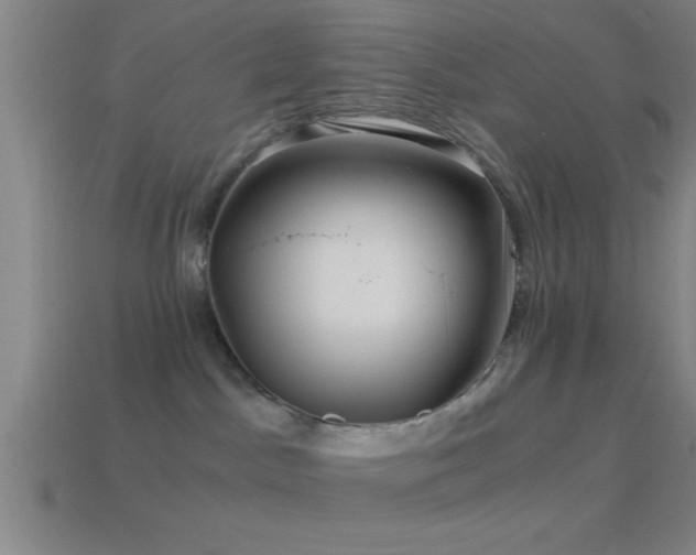 X0000114390045200910161303