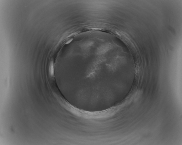 X0000114390046200910161303