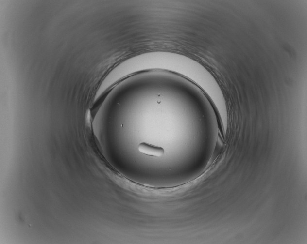 X0000114390047200910161303