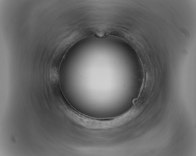 X0000114390048200910161303