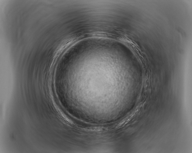 X0000114390049200910161303