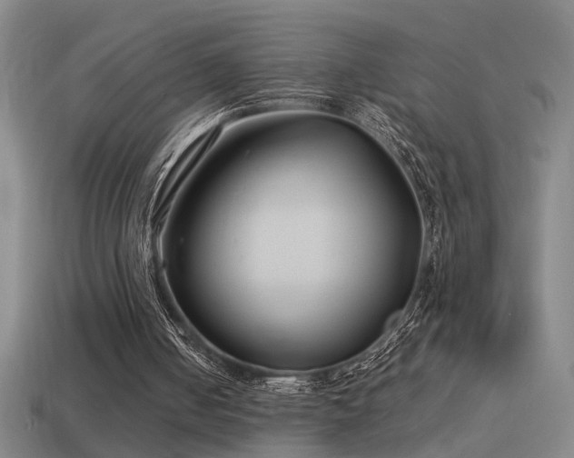 X0000114390050200910161303