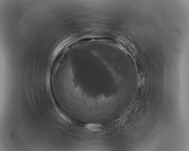 X0000114390051200910161303