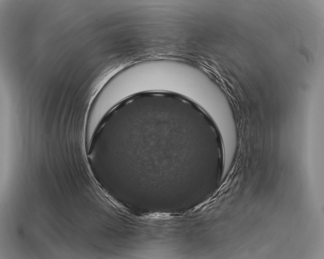 X0000114390052200910161303