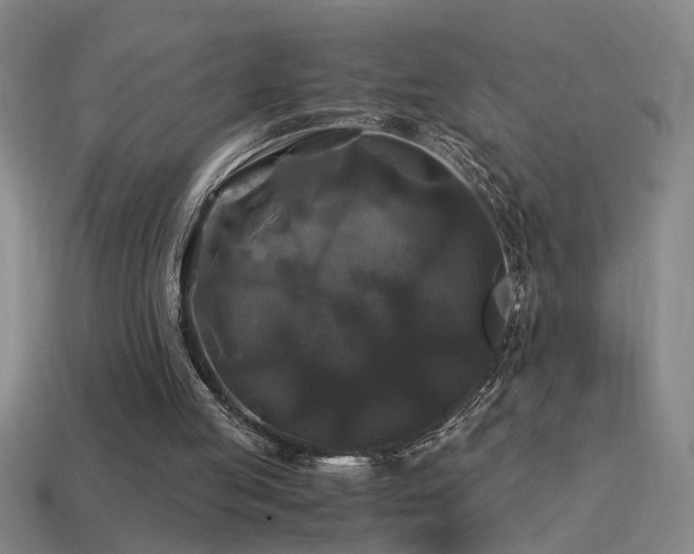X0000114390053200910161303
