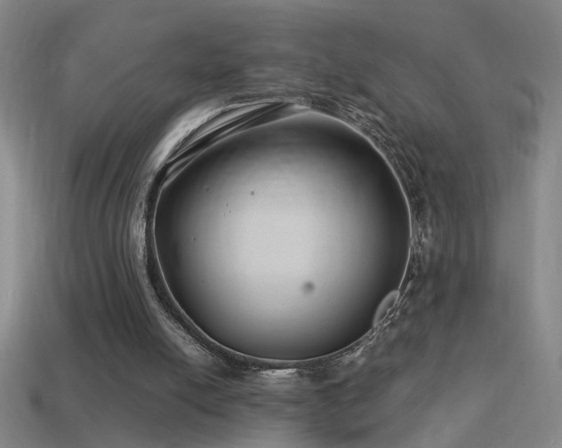 X0000114390054200910161303