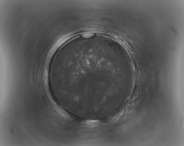 X0000114390055200910161303