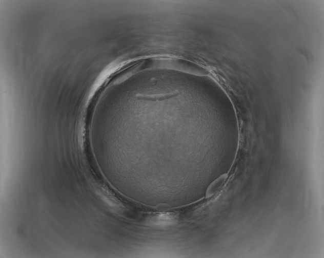 X0000114390056200910161303