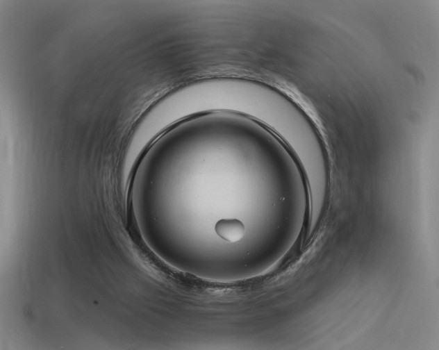 X0000114390057200910161303