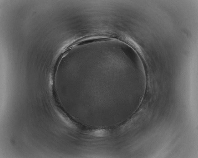 X0000114390059200910161303