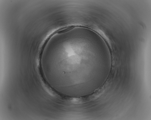 X0000114390060200910161303