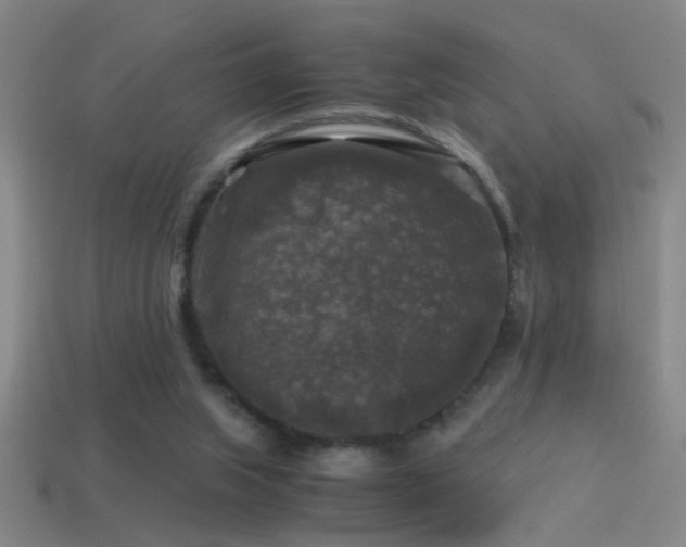 X0000114390063200910161303