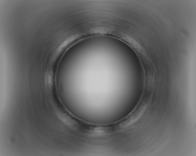 X0000114390064200910161303