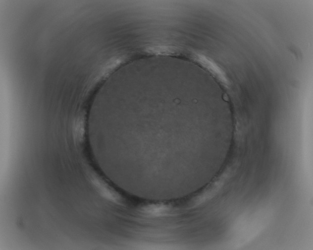 X0000114390065200910161303
