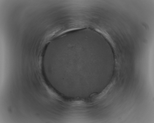 X0000114390066200910161303