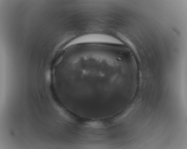X0000114390067200910161303