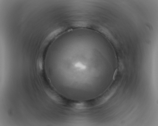 X0000114390068200910161303